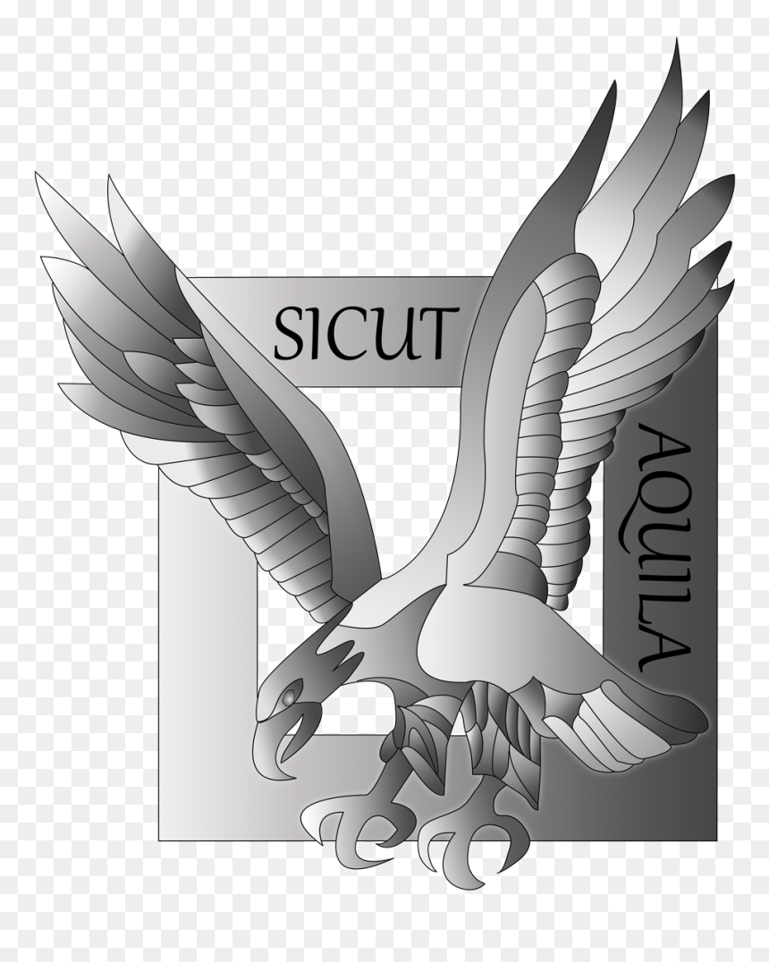 Sicut Aquila Colorisé - Illustration, HD Png Download - aquila png