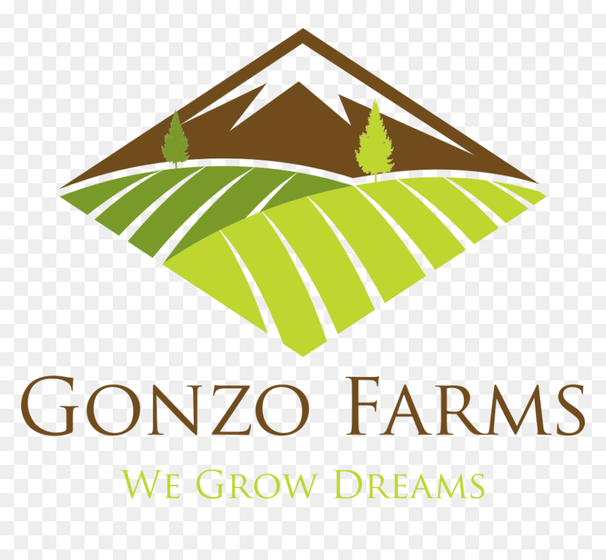 Building Company, HD Png Download - gonzo png