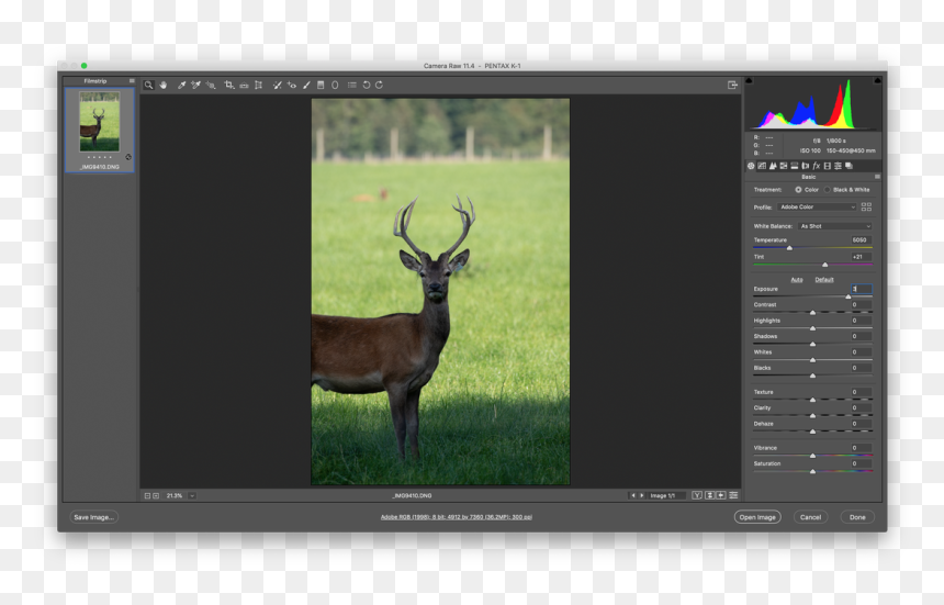 Picture - Reindeer, HD Png Download - horn of plenty png