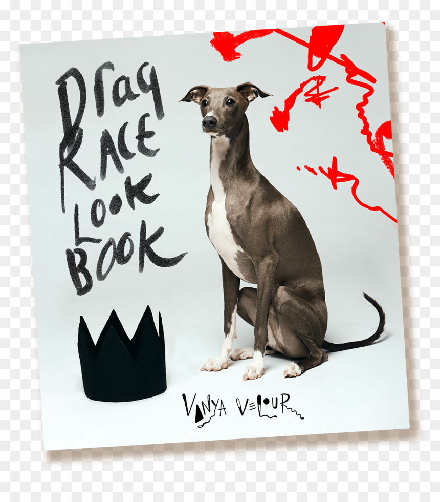 Vanya Velour"s Drag Race Look Book - Kangaroo, HD Png Download - drag race png