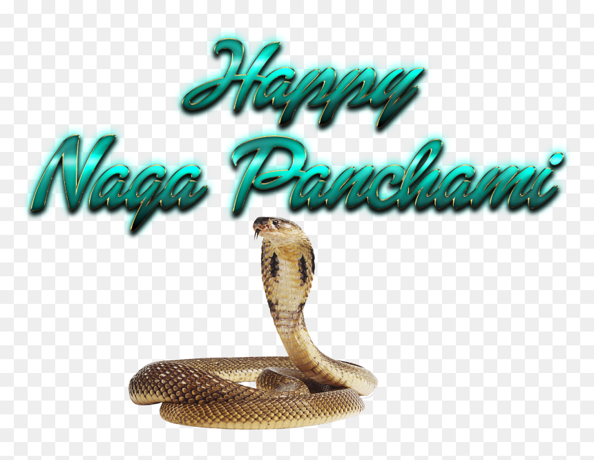 Naga Panchami Transparent Png - Png Nagula Chavithi Items, Png Download - naga png