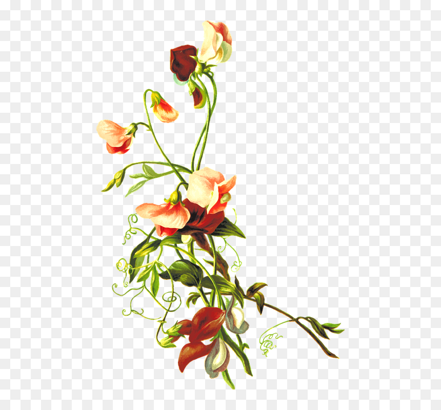 Flower With Leaf Png, Transparent Png - leafy png