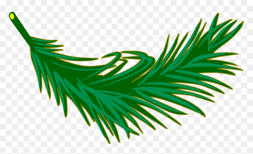 Palm Leaves Clip Art, HD Png Download - leafy png