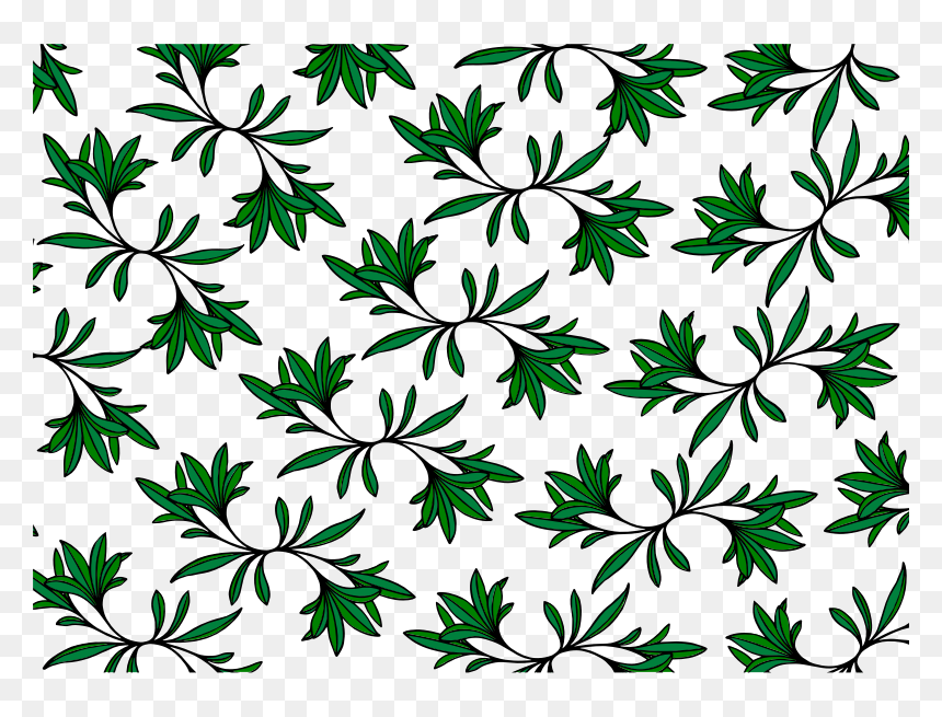 Jasmine, HD Png Download - leafy png