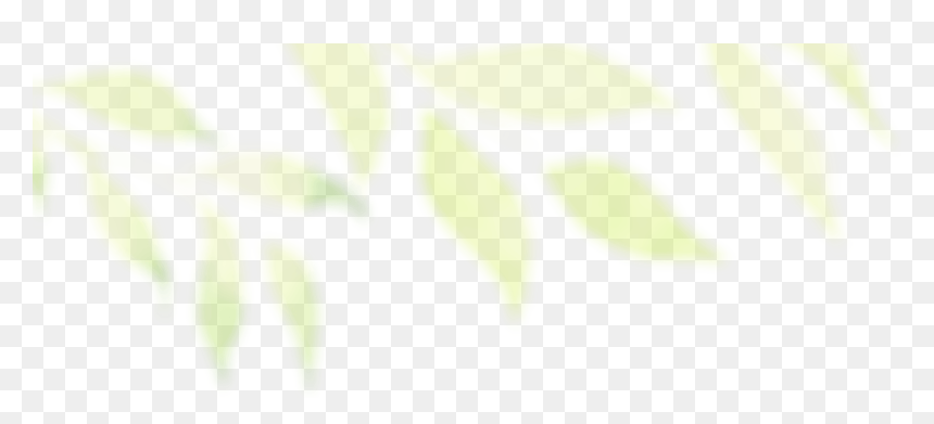 Flower, HD Png Download - leafy png