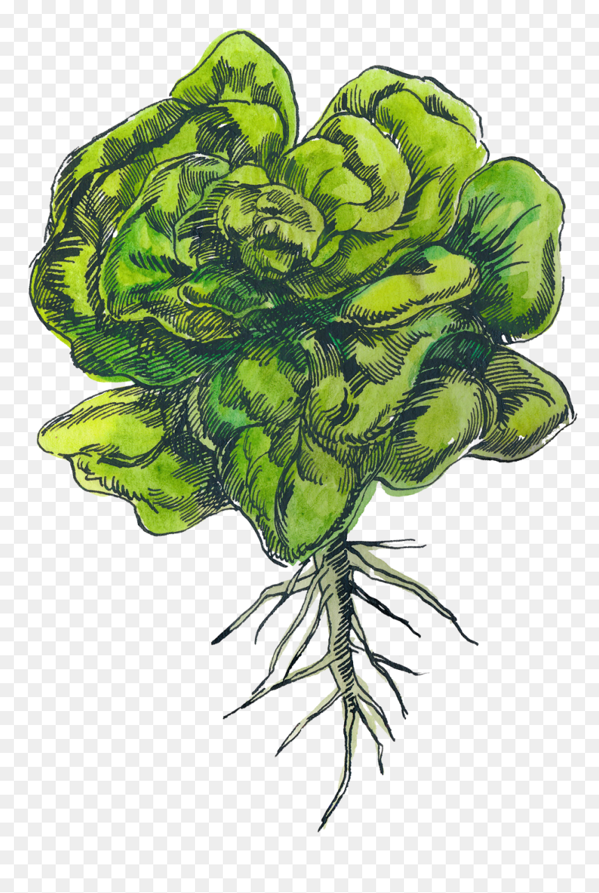 Artificial Flower, HD Png Download - leafy png