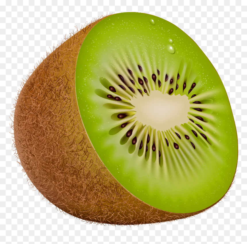Fruits Clipart Kiwi, HD Png Download - kiwi png