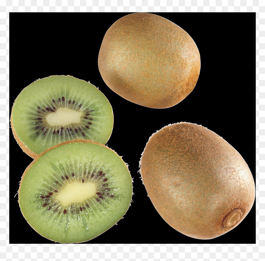 Kiwi Without Background, HD Png Download - kiwi png