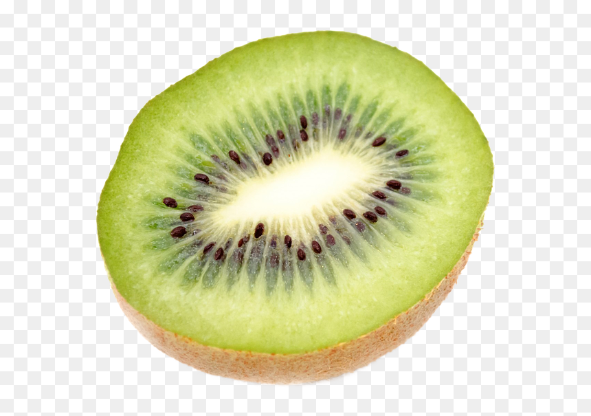 Kiwi Cut Out, HD Png Download - kiwi png