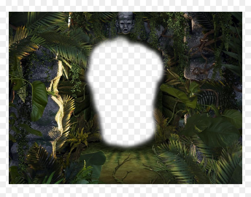 Disneyland Halloween 2008 2018, HD Png Download - spooky forest.png