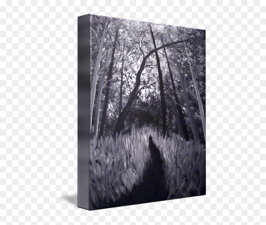 Grove, HD Png Download - spookyforest.png