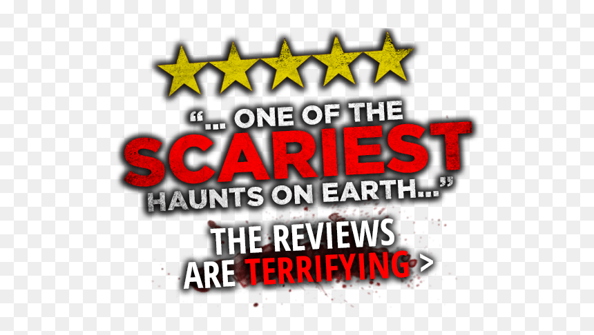 Graphic Design, HD Png Download - spooky forest.png