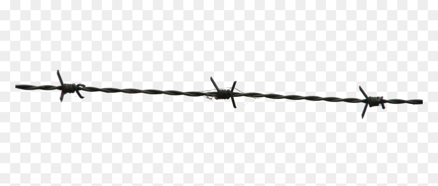 Barbed Wire, HD Png Download - wires png