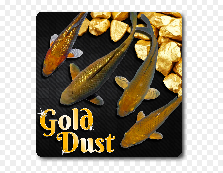 Expensive Mineral In The World, HD Png Download - gold dust png