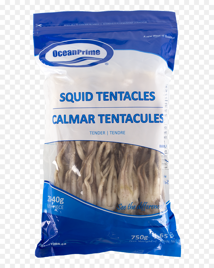 Anchovy (food), HD Png Download - tentacles png