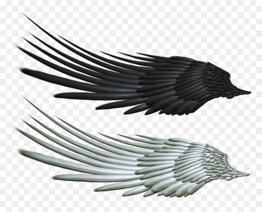 Angel Wings On Horse, HD Png Download - evil png