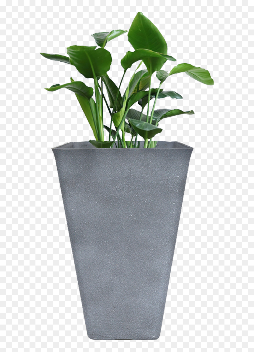 Tall Planters, HD Png Download - pot png