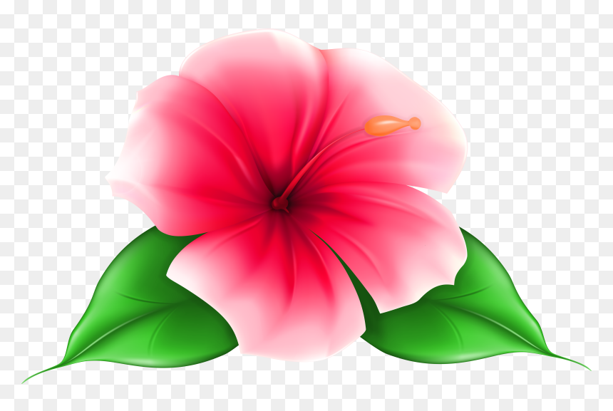 Transparent Background Flower Clipart, HD Png Download - png flower