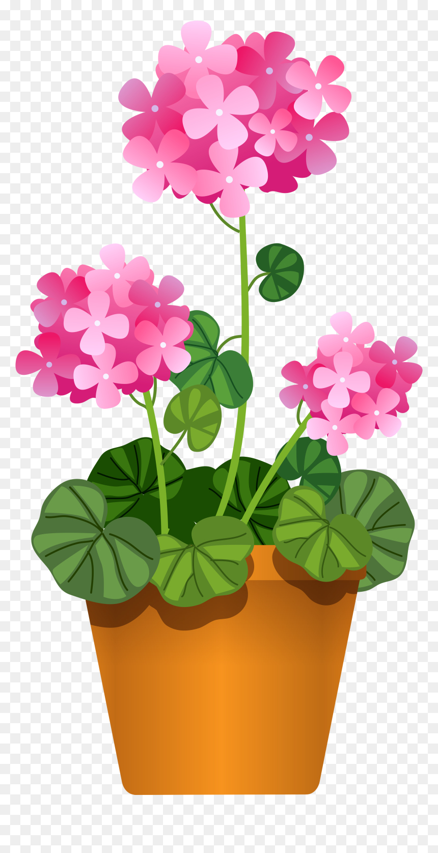 Flower In Pot Clipart, HD Png Download - pot png