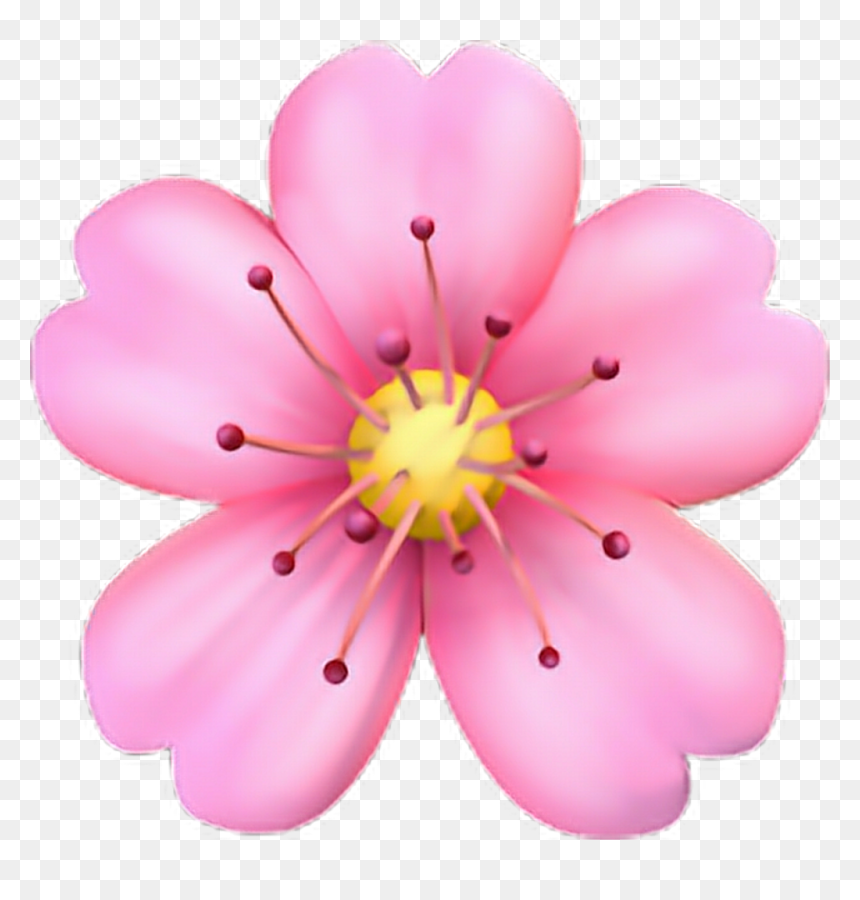 Cherry Blossom Emoji, HD Png Download - png flower