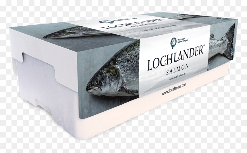 Pacific Saury, HD Png Download - salmon png