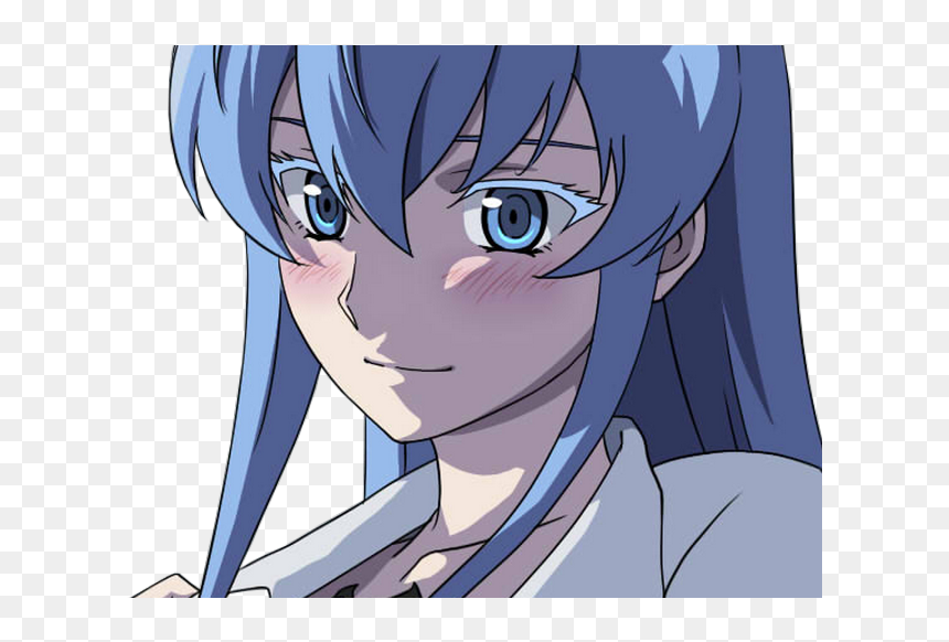 Lien Direct, 2018/02/1/1515403092 Esdeath Amoureuse - Cartoon, HD Png Download - esdeath png