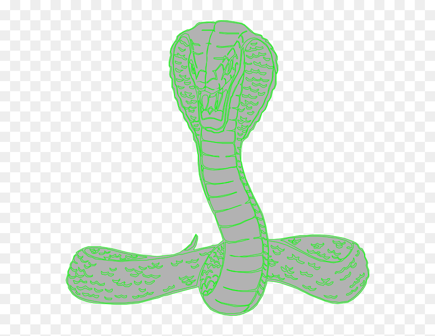 Illustration, HD Png Download - snake tail png