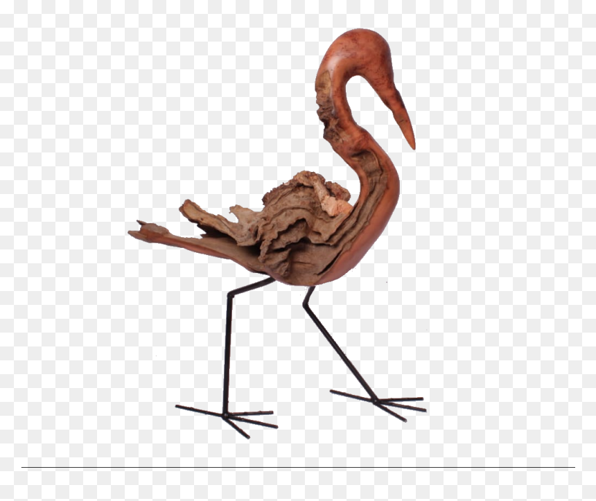 Greater Flamingo, HD Png Download - goliath png