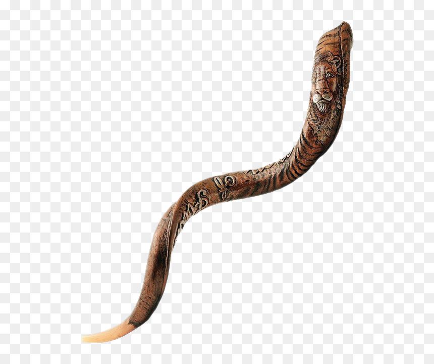 Shofar Png Pic - Shofar, Transparent Png - snake tail png