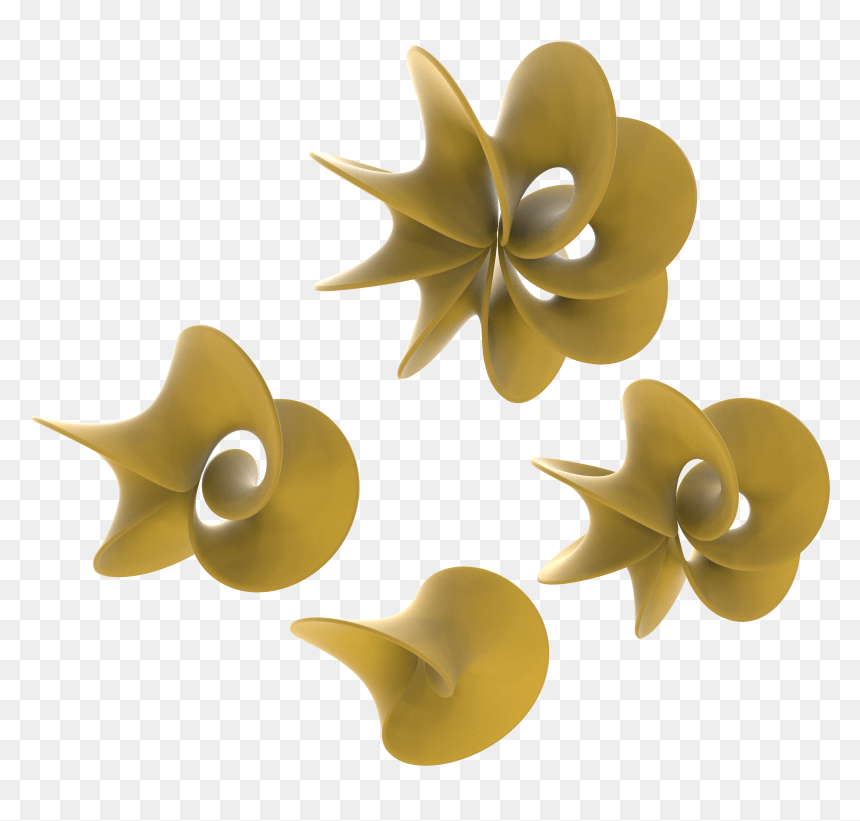 Cut Flowers, HD Png Download - mobius strip png