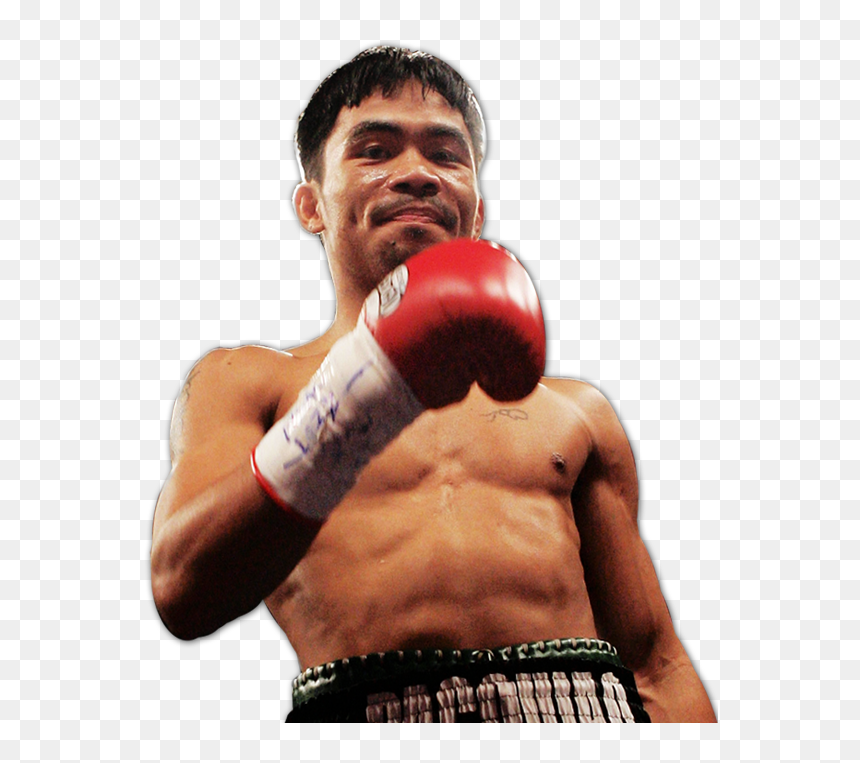 Professional Boxing, HD Png Download - miguel cotto png