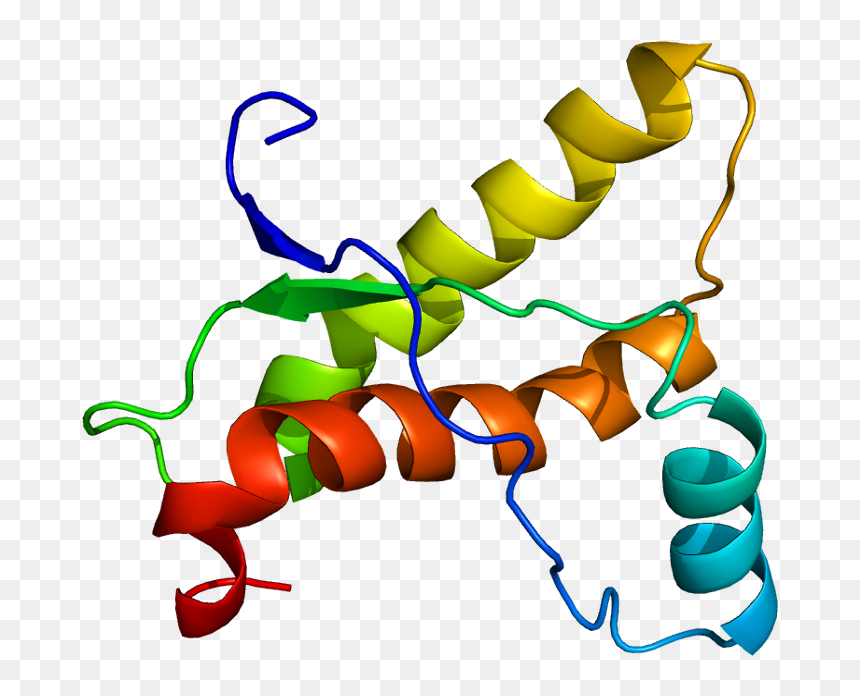 A Healthy Prion Protein - Prion Clipart, HD Png Download - cracked skull png