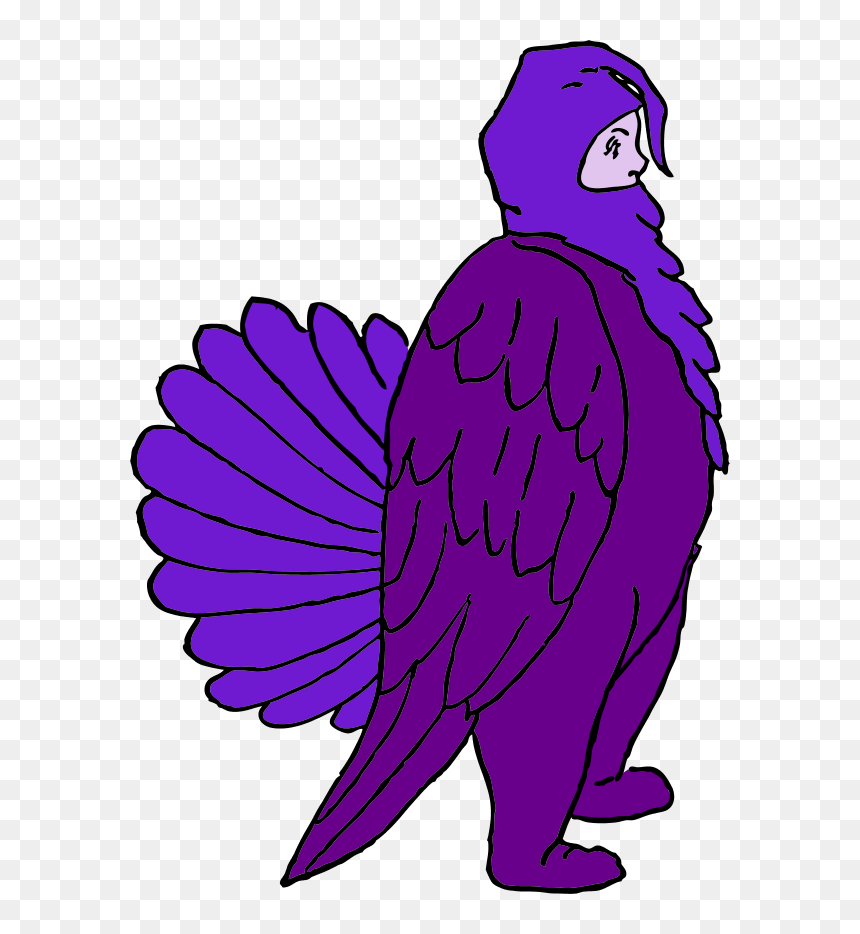 Boy Wearing Chicken Suit - Disfraz De Pavo, HD Png Download - dirty bomb png