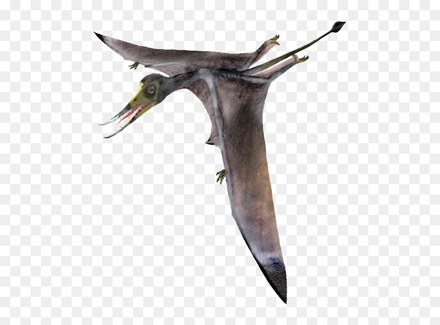 Birds From Jurassic Period, HD Png Download - pteranodon png