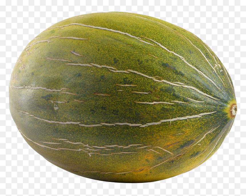 Melon, HD Png Download - single carrot png