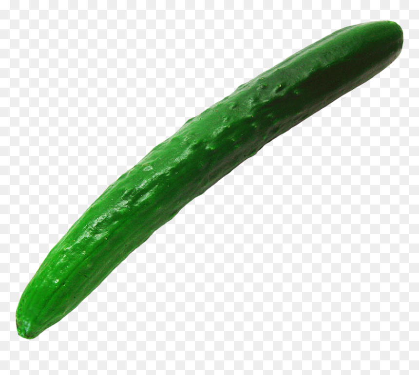 Single Cucumber Clipart - Cucumber, HD Png Download - single carrot png