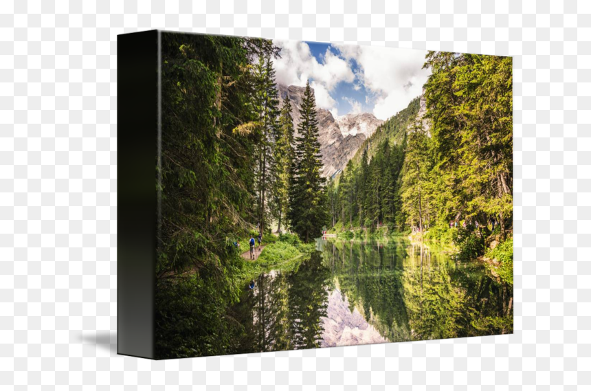 Mount Scenery, HD Png Download - cyclops visor png