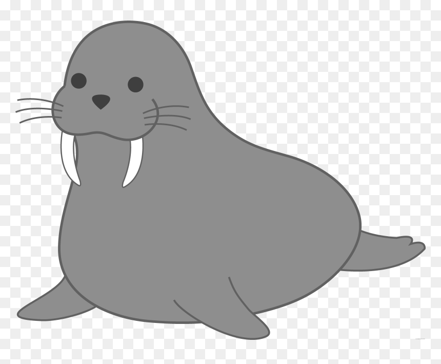 Walrus Earless Seal Clip Art Portable Network Graphics - Seal Cartoon Png, Transparent Png - california seal png
