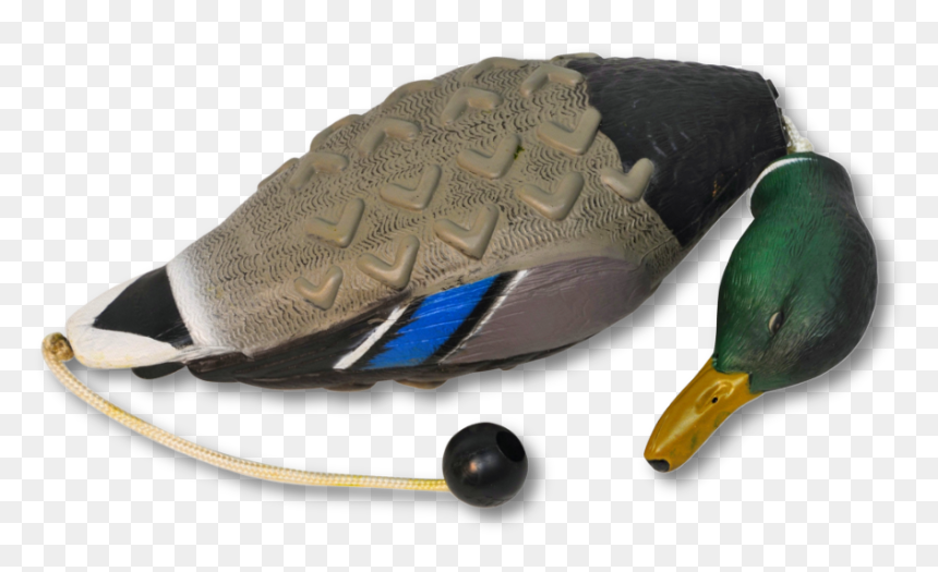 Image Of The Avery Sporting Dog Mallard Training Dummy - Dummy Gråand, HD Png Download - training dummy png