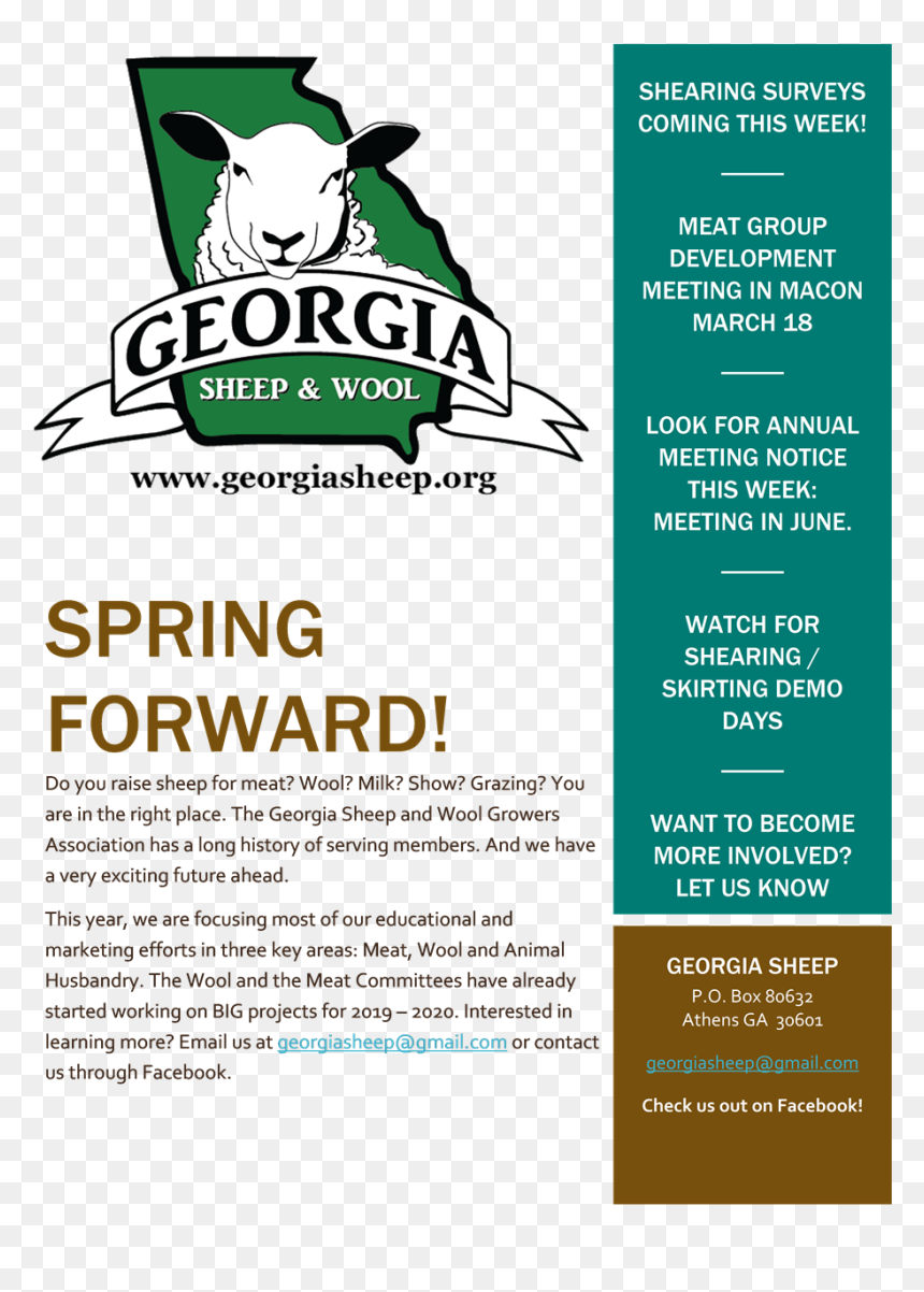 Georgia Sheep Events - Sheep Logo, HD Png Download - spring ahead png