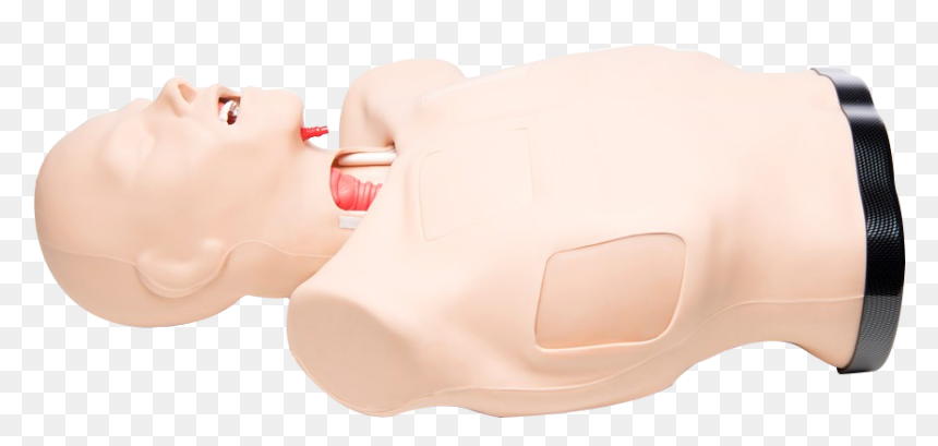 Trucorp Truman Trauma X Trauma Training Manikin - Flesh, HD Png Download - training dummy png