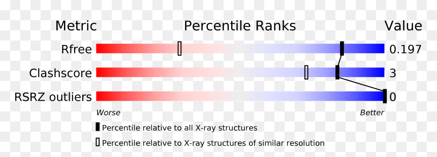 Parallel, HD Png Download - aqw png