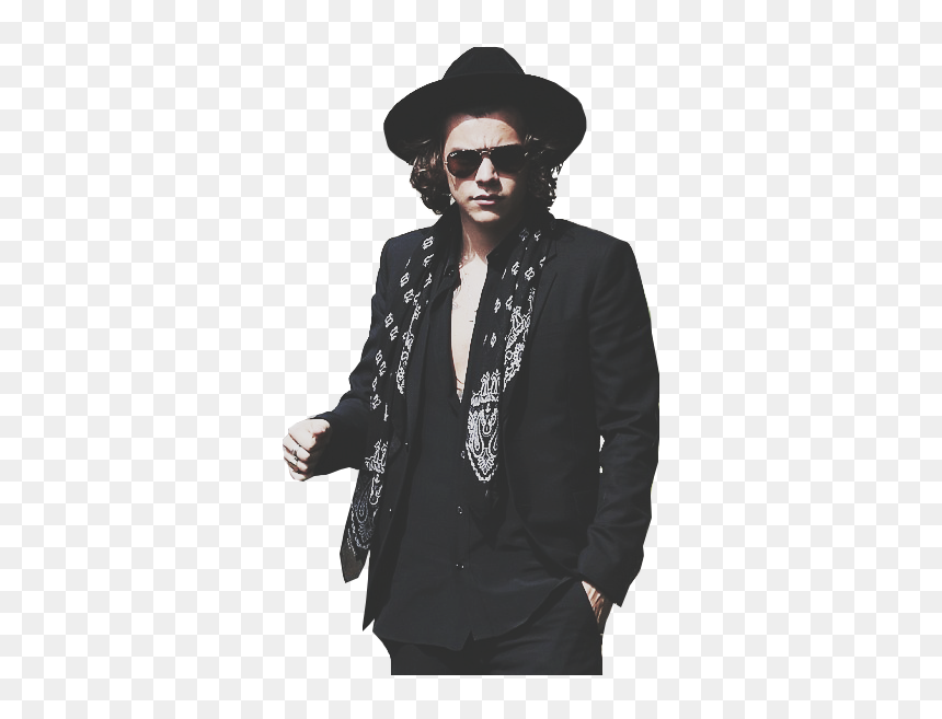 Overlay, Png, And Pngs Image - Harry Styles Suit And Hat, Transparent Png - one direction 2015 png