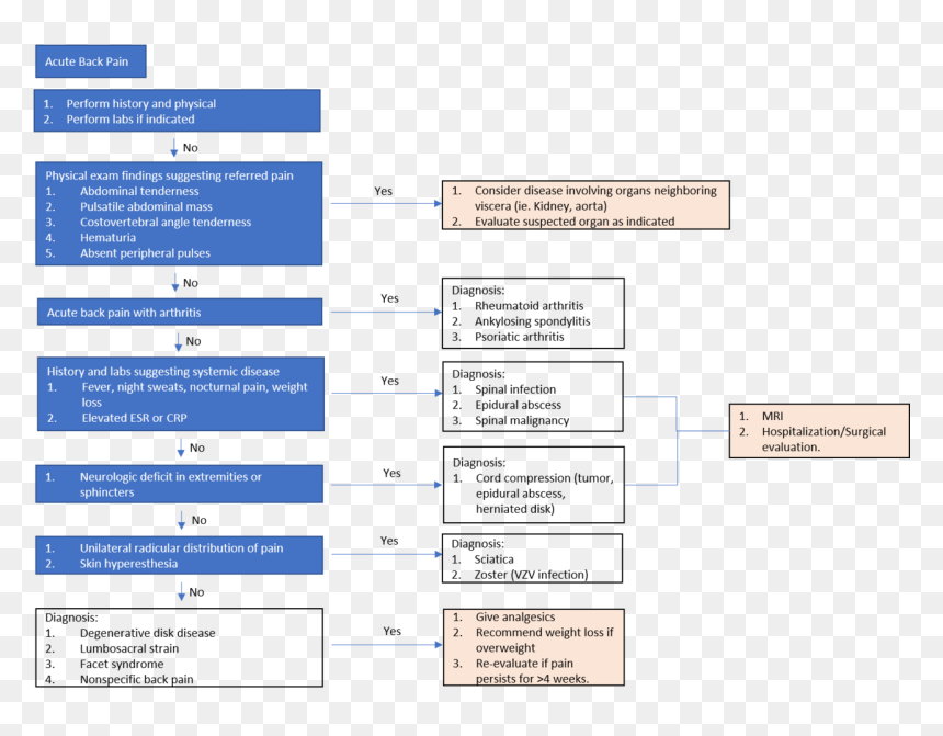 Back Pain Diagnosis, HD Png Download - evaluate png
