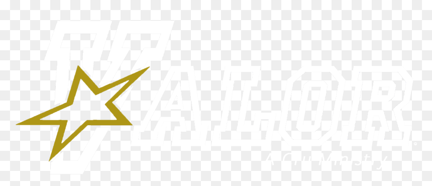William Fremd High School, HD Png Download - team valor png