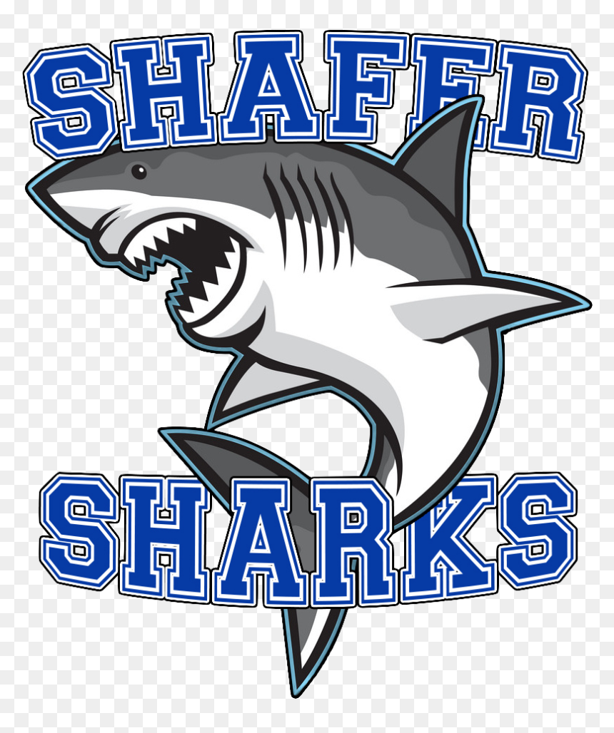 Shafer Middle School Bensalem Pa, HD Png Download - street sharks png