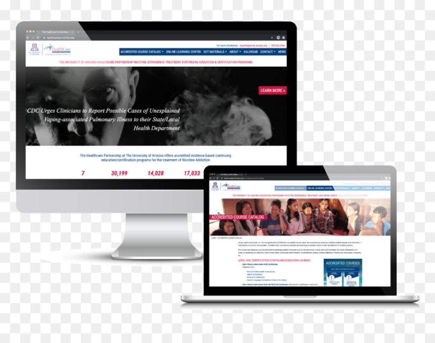 University Of Arizona Healthcare Partnership Case Study - Portfolio It Consultant, HD Png Download - university of arizona png