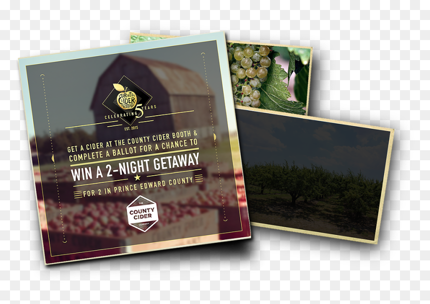 Tcf2019 Web Contest Post2 - Book Cover, HD Png Download - angry orchard png