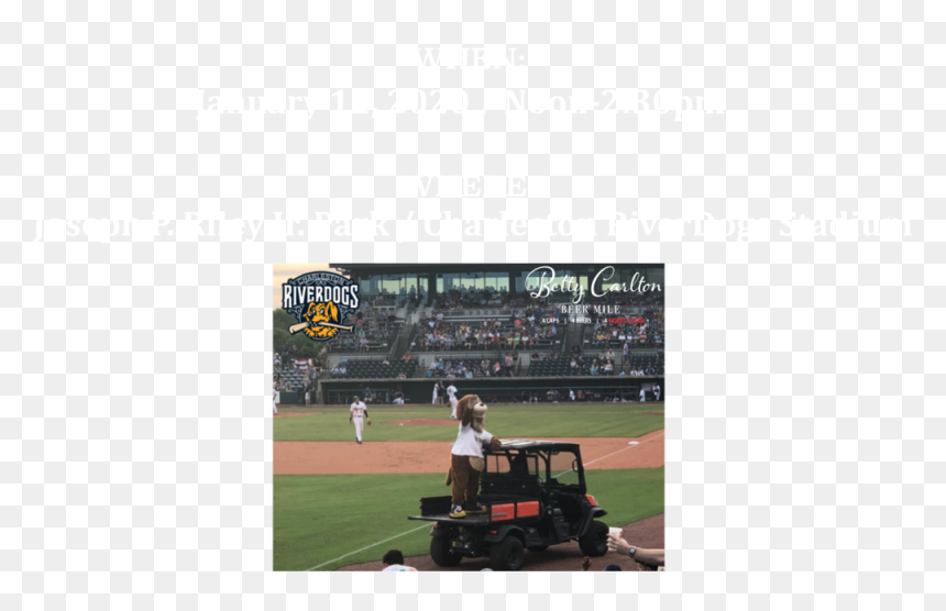 Whenwhere1 - Baseball Park, HD Png Download - angry orchard png