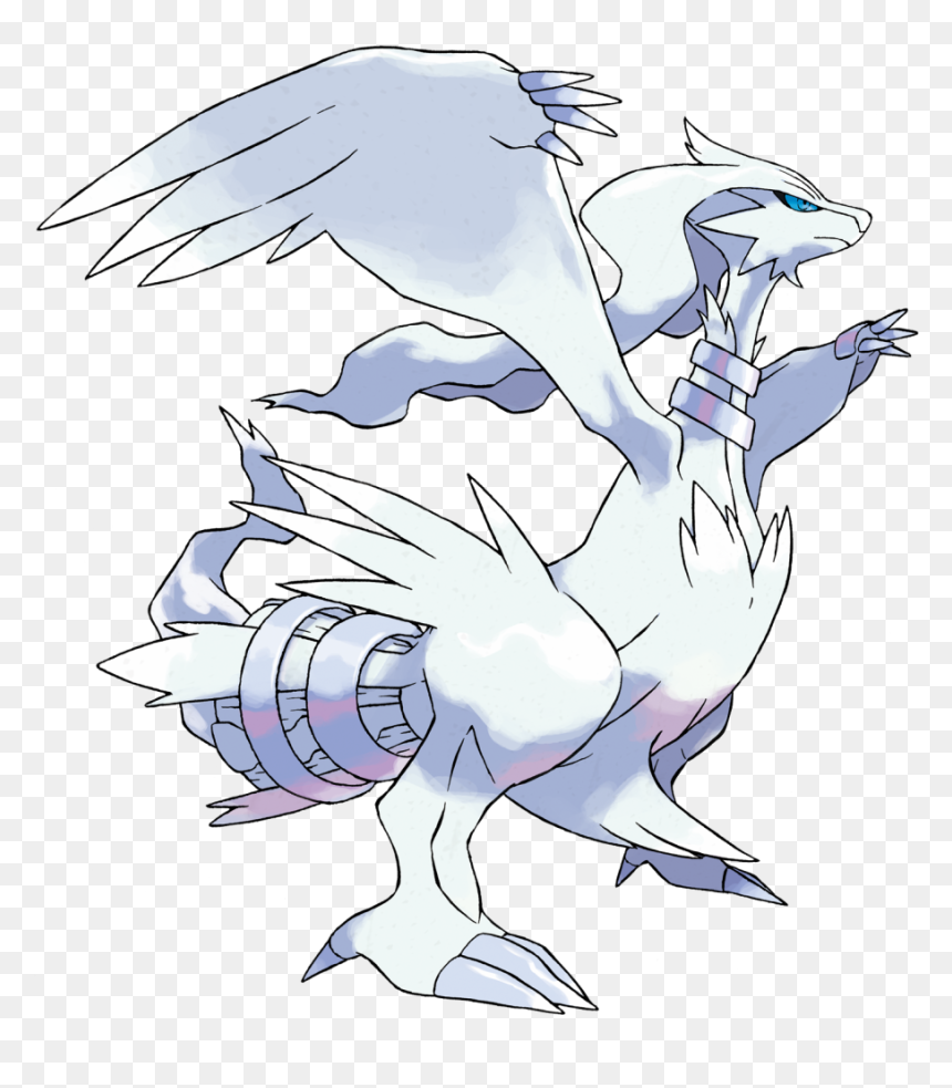 Nj Coding Practice - Pokemon Reshiram, HD Png Download - thundurus png